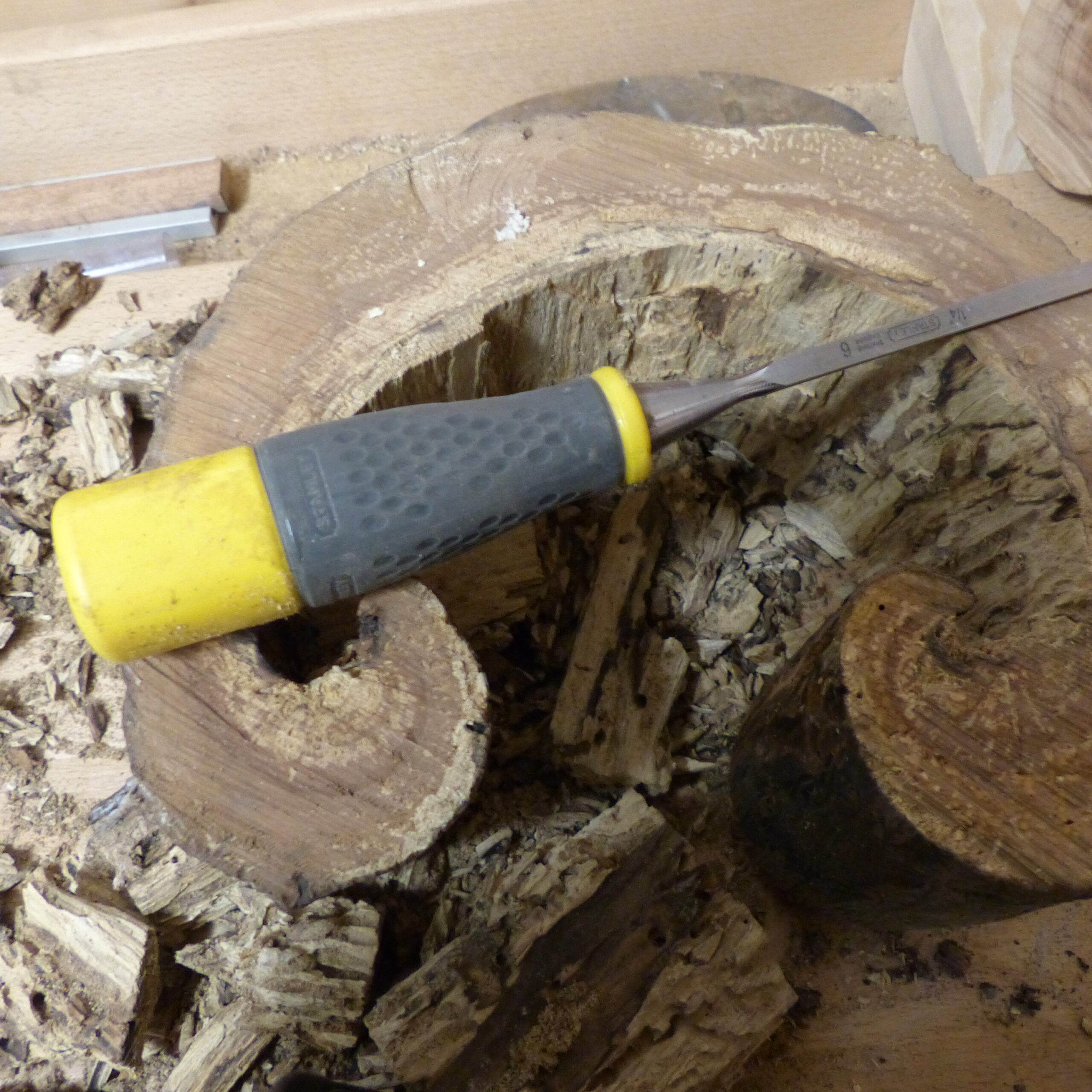 Fabrication lampe pommier coeur