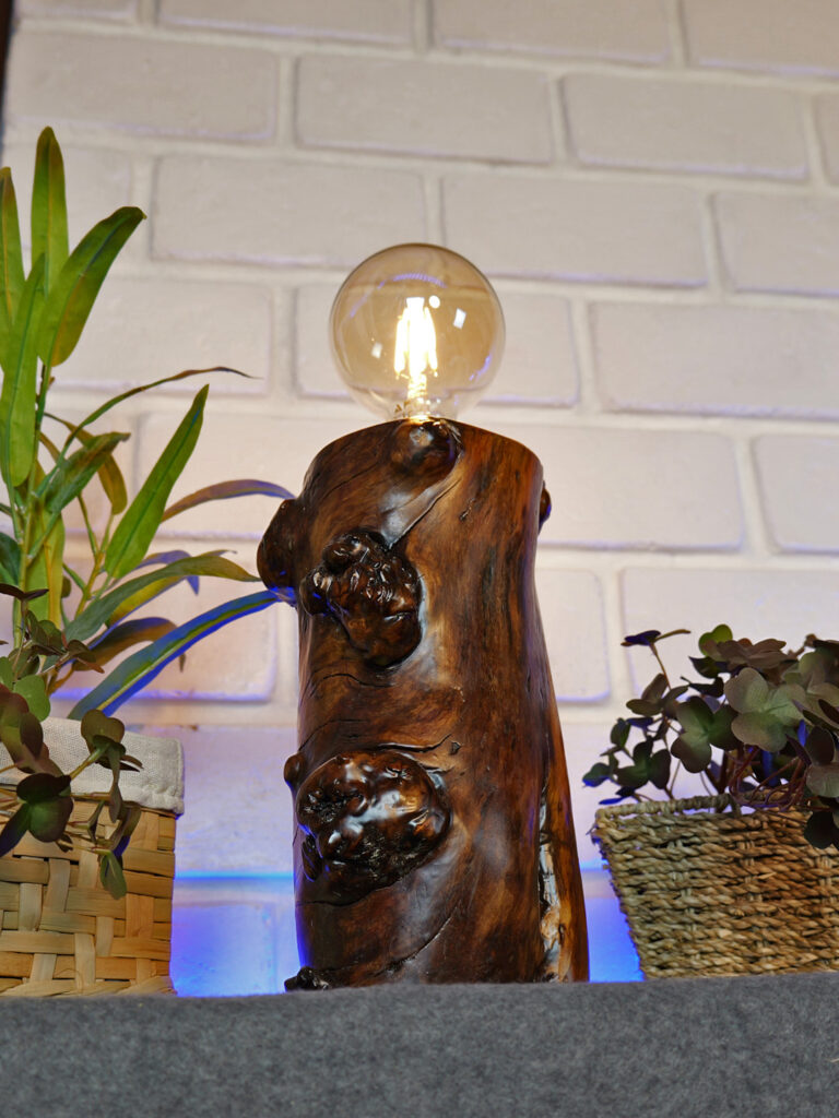 Lampe en pommier avec noeuds